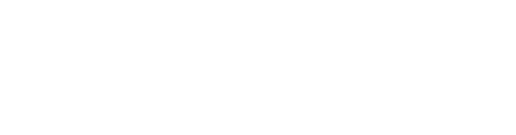 ES Financiado por la Union Europea RGB WHITE Outline 1024x268 1.png